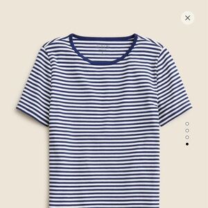 J. Crew New Perfect Fit Short Sleeve T-shirt in Stripe